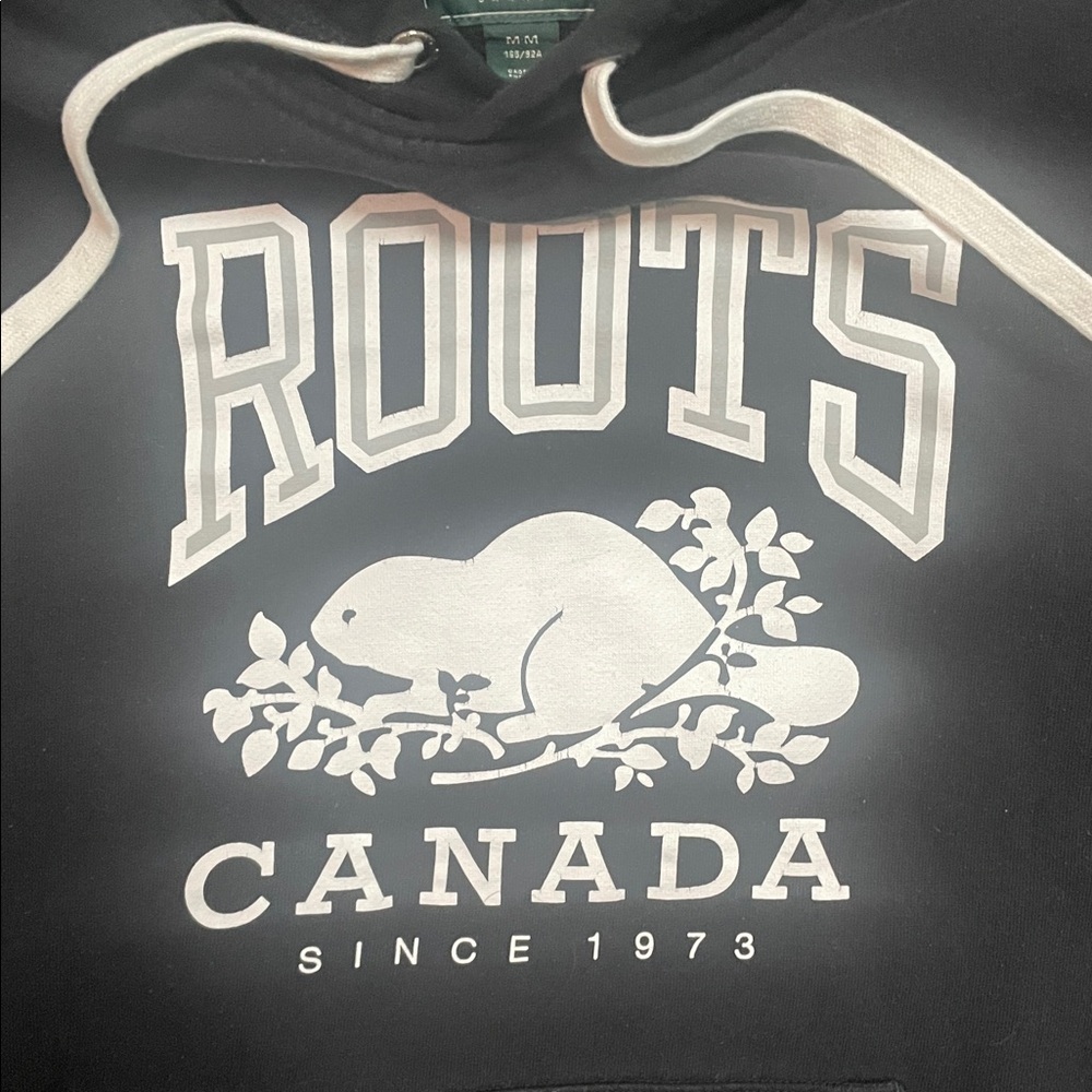 Roots Black Hoodie for Men - Picture 3 of 9
